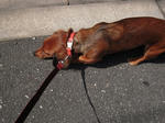 DSCN1389.jpg