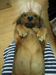 DSCN1397.jpg