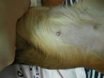 DSCN1392.jpg