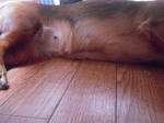 DSCN1402.jpg