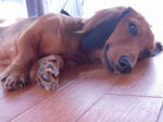 DSCN1405.jpg