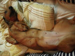 DSCN1411.jpg