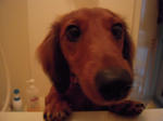 DSCN1228.jpg