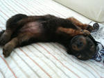 200807271721000.jpg