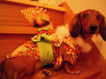 DSCN0071.jpg