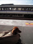 DSCN0091.jpg