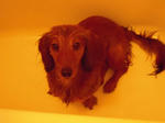 DSCN0165.jpg