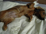 DSCN1430.jpg