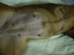 DSCN1431.jpg
