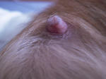 DSCN1432.jpg