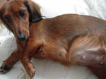 DSCN1448.jpg
