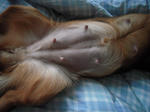 DSCN1458.jpg