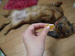 DSCN1460.jpg