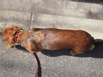 DSCN1390.jpg