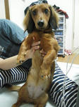 DSCN1494.jpg