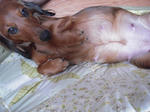 DSCN1505.jpg