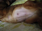 DSCN1506.jpg
