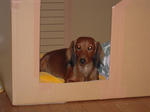 DSCN1529.jpg