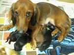 DSCN1652.jpg