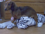 DSCN1614.jpg