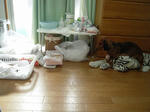 DSCN1615.jpg