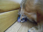 DSCN1616.jpg