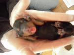 DSCN1620.jpg