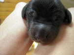 DSCN1648.jpg