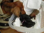 DSCN1623.jpg