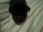 DSCN1692.jpg