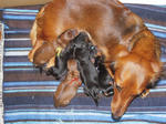 DSCN1673.jpg