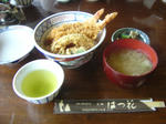 tendon