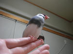 下から１