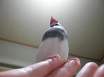 下から２