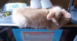 0608b.jpg