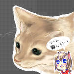 0805b.jpg