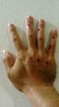 20090913205316.jpg