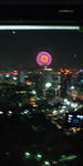 20100814192830.jpg