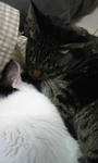 120121_233858.jpg