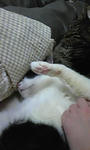 120121_233935.jpg