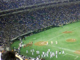 080618_2033~02.jpg