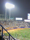 081010_2118~04.jpg
