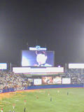 081010_2120~01.jpg