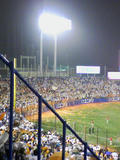 081010_2132~03.jpg