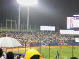 081010_2136~01.jpg