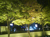 081022_2228~01.jpg