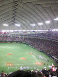 081101_1809~01.jpg