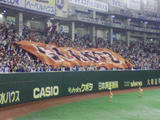 090506_2103~02.jpg