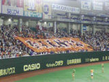 090820_2036~01.jpg