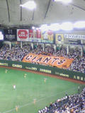 090925_2044~01.jpg
